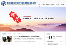 铁东城市开发投资集团有限公司