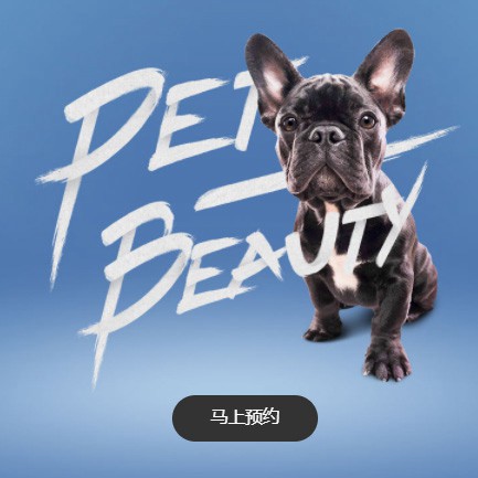 铁东宠物中心小程序开发